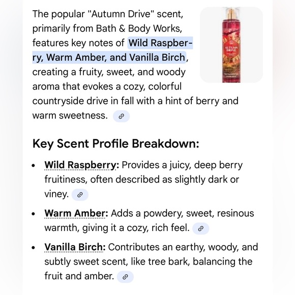 Bath & Body Works Autumn Drive Mist - Picture 2 of 2